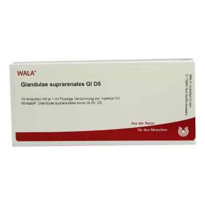 Glandulae Supraren. Gl D5 Ampullen bei apo-discounter.de bestellen