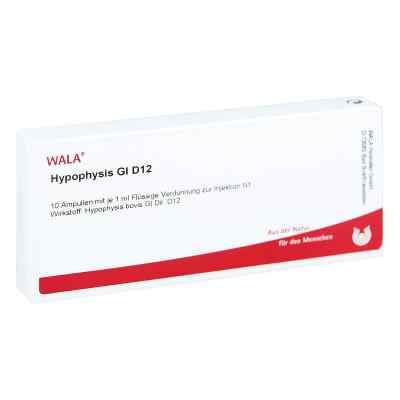 Hypophysis Gl D12 Ampullen bei apo-discounter.de bestellen