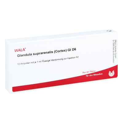 Glandula Supraren. Cort. Gl D6 Ampullen bei apo-discounter.de bestellen