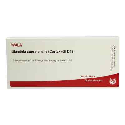 Glandula Supraren. Cort. Gl D12 Ampullen bei apo-discounter.de bestellen