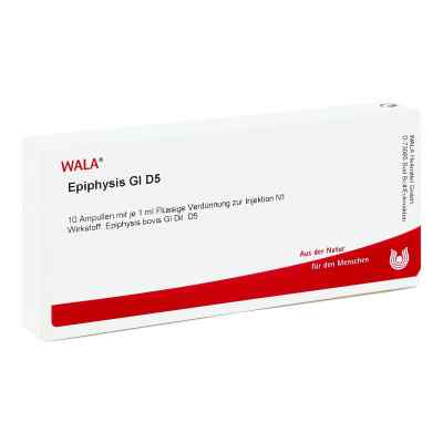 Epiphysis Gl D5 Ampullen bei apo-discounter.de bestellen
