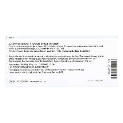 Fasciculus Atrioventr. Gl D15 Ampullen bei apo-discounter.de bestellen