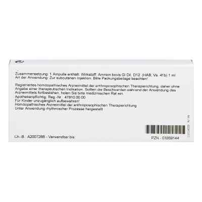 Amnion Gl D12 Ampullen bei apo-discounter.de bestellen