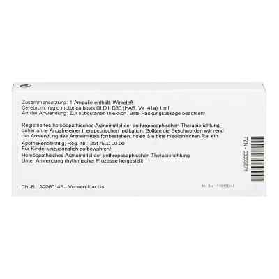 Cerebrum Regio Motor Gl D30 Ampullen bei apo-discounter.de bestellen