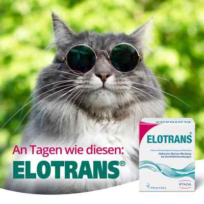 Elotrans bei apo-discounter.de bestellen