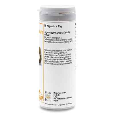 Magnesium Kapseln bei apo-discounter.de bestellen