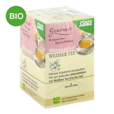 Weisser Tee Blütenzauber Bio Salus Filterbeutel bei apo-discounter.de bestellen