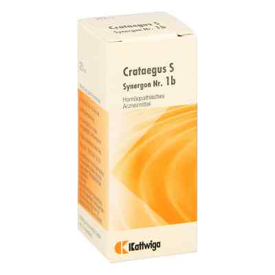 Synergon 1 b Crataegus S Tropfen bei apo-discounter.de bestellen