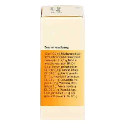 Synergon 1 b Crataegus S Tropfen bei apo-discounter.de bestellen