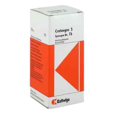 Synergon 1 b Crataegus S Tropfen bei apo-discounter.de bestellen