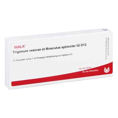 Trigonum Ves.et Musc.sph.gl D12 Ampullen bei apo-discounter.de bestellen