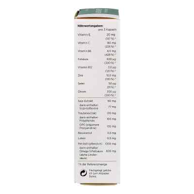 Alsidiabet Diabetiker Mikro Durchblutung Kapseln bei apo-discounter.de bestellen