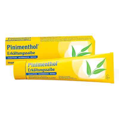 Pinimenthol Erkältungssalbe bei apo-discounter.de bestellen