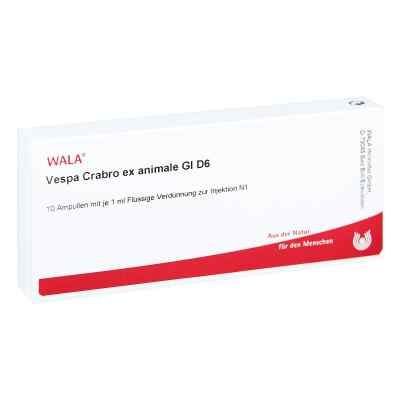 Vespa Crabro Ex Animale Gl D6 Ampullen bei apo-discounter.de bestellen