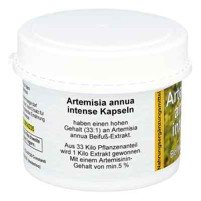 Artemisia Annua Beifuss Kapseln bei apo-discounter.de bestellen