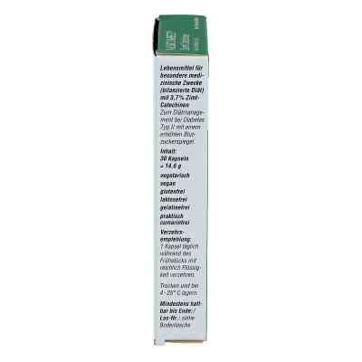 Alsidiabet Zimt Catechine für Diab.Typ Ii Kapseln bei apo-discounter.de bestellen
