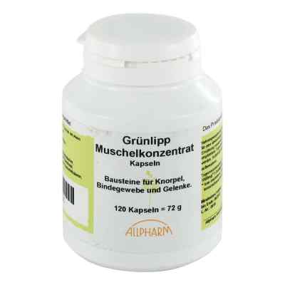 Grünlipp Muschel Konzentrat 500mg Kapseln bei apo-discounter.de bestellen