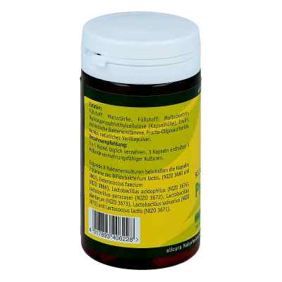 Bio Flor Kapseln mit 6 probiot.Bakterienkulturen bei apo-discounter.de bestellen