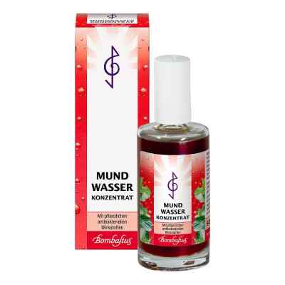 Mundwasser Konzentrat bei apo-discounter.de bestellen
