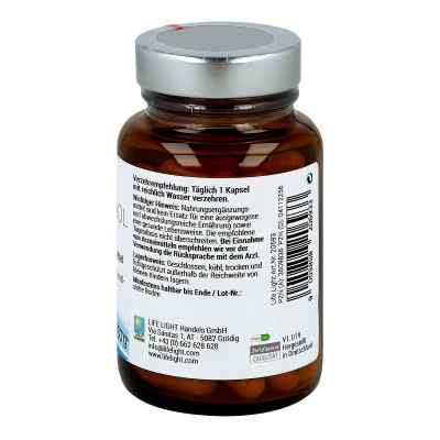 Resveratrol Kapseln bei apo-discounter.de bestellen