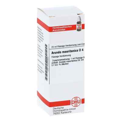 Arundo Mauritan. D4 Dilution bei apo-discounter.de bestellen