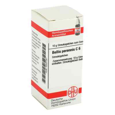 Bellis Perennis C 6 Globuli bei apo-discounter.de bestellen