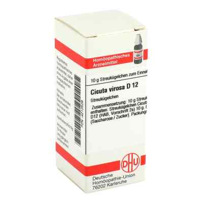 Cicuta Virosa D 12 Globuli bei apo-discounter.de bestellen