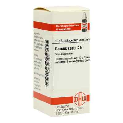 Coccus Cacti C 6 Globuli bei apo-discounter.de bestellen
