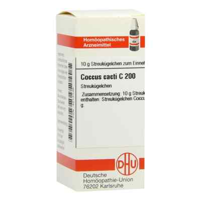Coccus Cacti C 200 Globuli bei apo-discounter.de bestellen