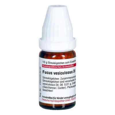 Fucus Vesiculosus D 6 Globuli bei apo-discounter.de bestellen