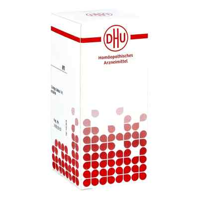 Ginkgo Biloba D6 Tabletten bei apo-discounter.de bestellen
