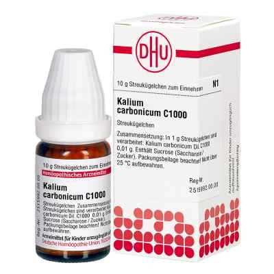 Kalium Carbonicum C 1000 Globuli bei apo-discounter.de bestellen