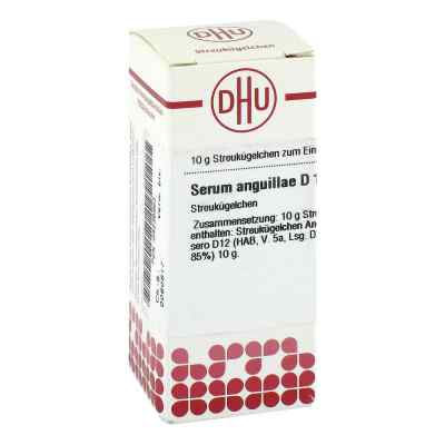 Serum Anguillae D 12 Globuli bei apo-discounter.de bestellen