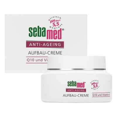 Sebamed Anti Ageing Aufbaucreme Q10 Tiegel bei apo-discounter.de bestellen