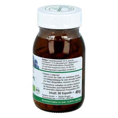 Opc Traubenkern & Vitamine C Kapseln bei apo-discounter.de bestellen