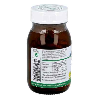Opc Traubenkern & Vitamine C Kapseln bei apo-discounter.de bestellen