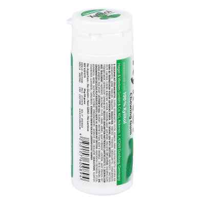 Miradent Zahnpflegekaugummi Xylitol Spearmint bei apo-discounter.de bestellen