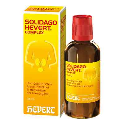 Solidago Hevert Complex Tropfen bei apo-discounter.de bestellen