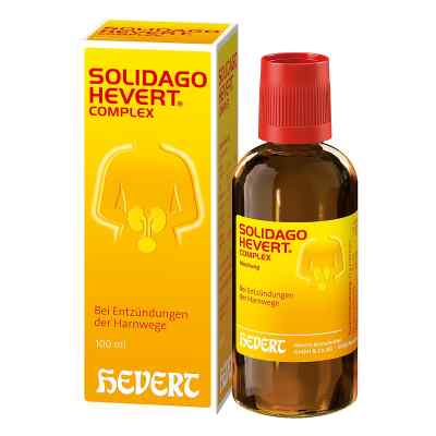 Solidago Hevert Complex Tropfen bei apo-discounter.de bestellen