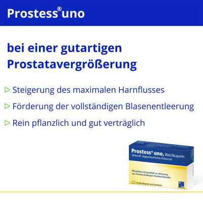 Prostess Uno bei apo-discounter.de bestellen