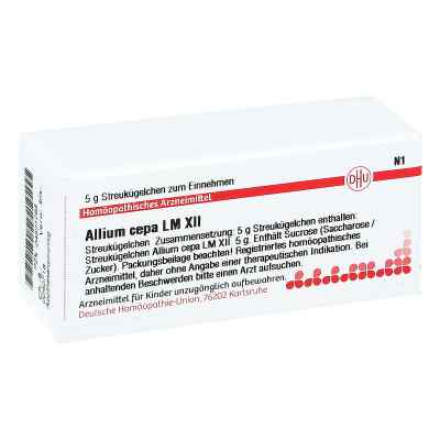 Lm Allium Cepa Xii Globuli bei apo-discounter.de bestellen