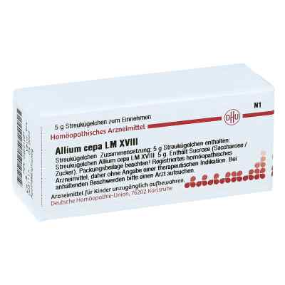 Lm Allium Cepa Xviii Globuli bei apo-discounter.de bestellen