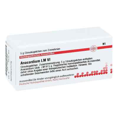 Lm Anacardium Vi Globuli bei apo-discounter.de bestellen