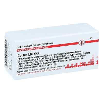 Lm Cactus Xxx Globuli bei apo-discounter.de bestellen