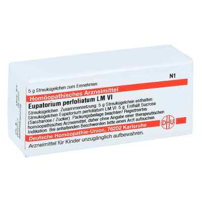 Lm Eupatorium Perf. Vi Globuli bei apo-discounter.de bestellen