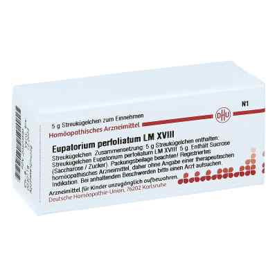 Lm Eupatorium Perf. Xviii Globuli bei apo-discounter.de bestellen