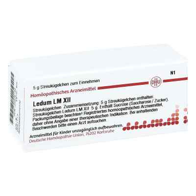 Lm Ledum Xii Globuli bei apo-discounter.de bestellen