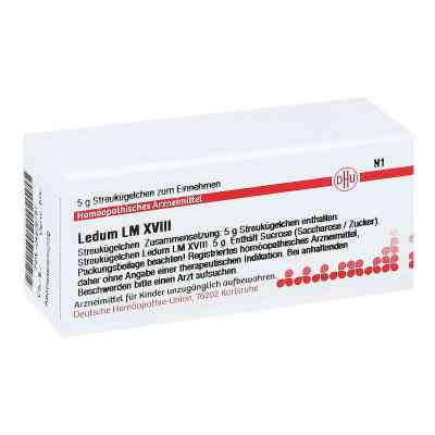 Lm Ledum Xviii Globuli bei apo-discounter.de bestellen