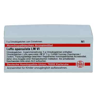 Lm Luffa Operculata Vi Globuli bei apo-discounter.de bestellen