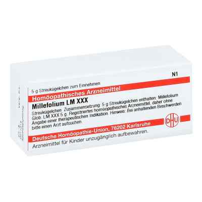Lm Millefolium Xxx Globuli bei apo-discounter.de bestellen